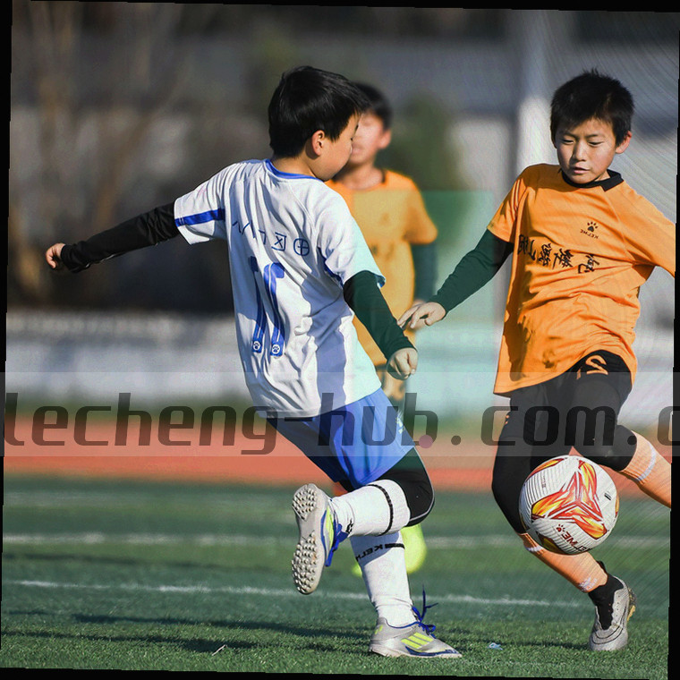 多张标签卡片拼贴组成的乐橙专题封面示意图
